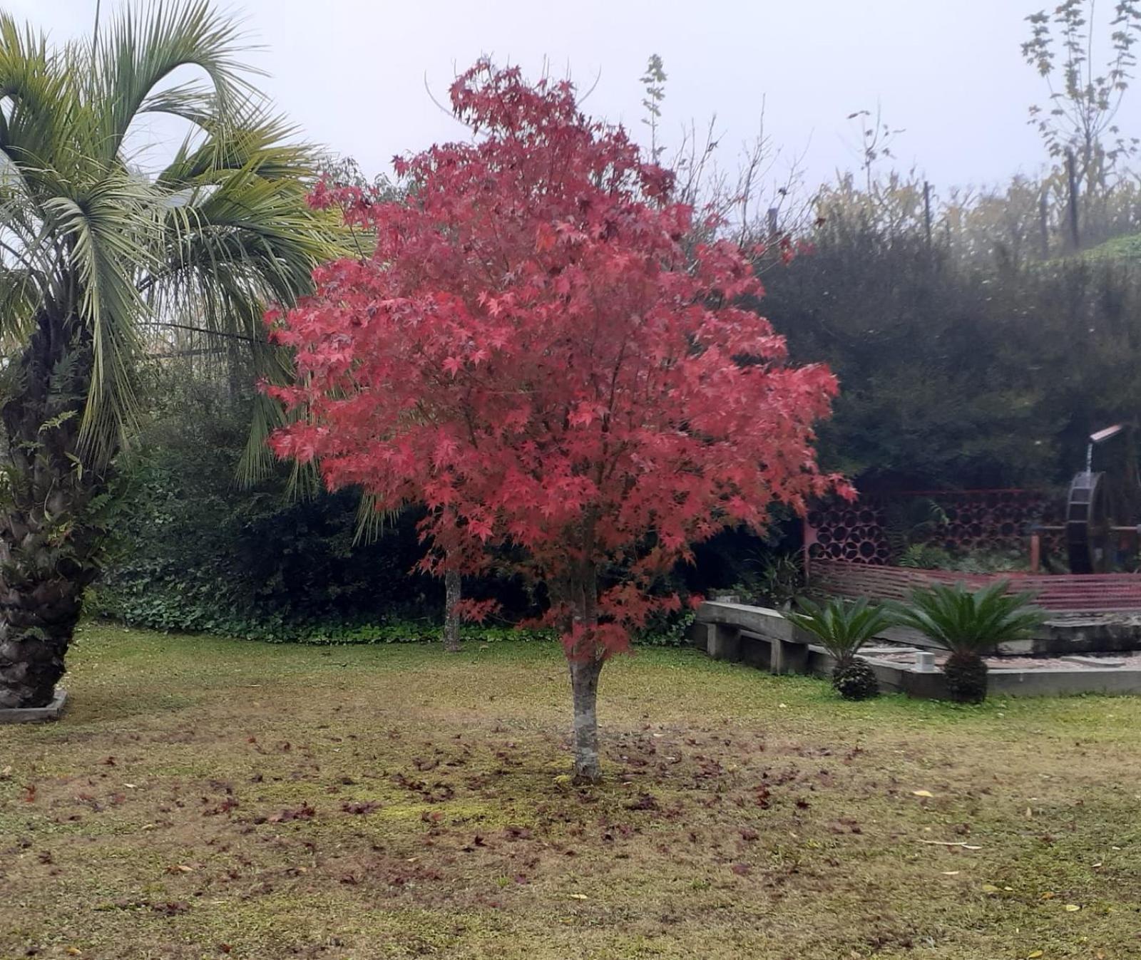 Cappio Pousada E Lazer Bento Gonçalves Dış mekan fotoğraf